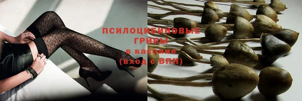 дурь Семикаракорск