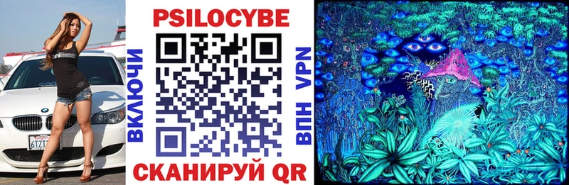 Купить где  Курган  Галлюциногенные грибы Cubensis 